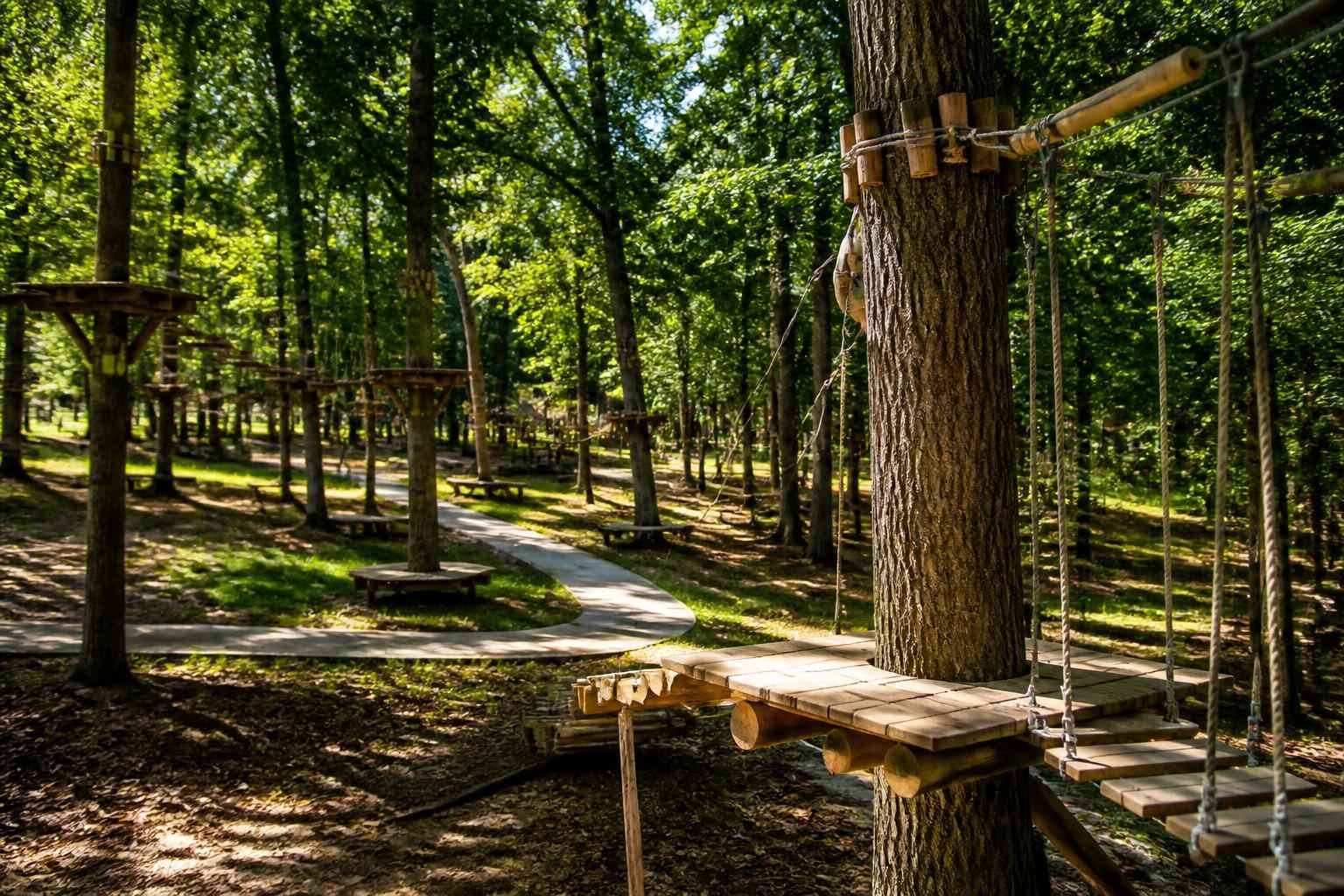 Things To Do With Teens In Shavano Park What Are The Best Teen Activities In Shavano Park TX?